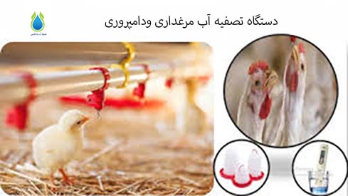 تصفیه آب مرغداری ودامپروری
