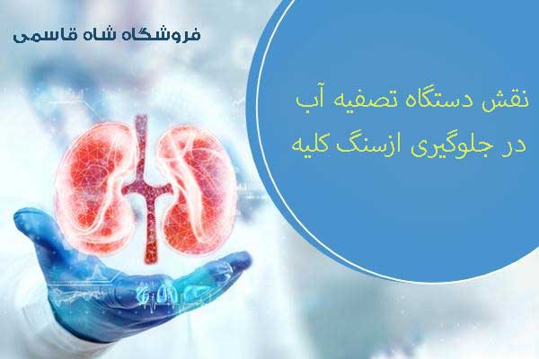 تاثیر دستگاه تصفیه آب-بر-کلیه